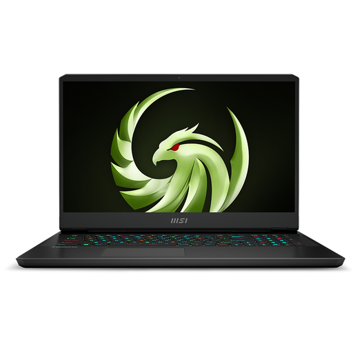 17.3 inch QHD display with MSI slogan. Green eagle with red eyes. RGB per-key lit keyboard. Trackpad included.