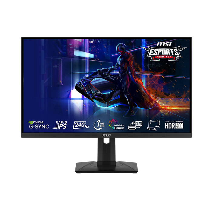 27 inch e-sports gaming monitor, nvidia g-sync rapid ips 240hz 1ms response rate 